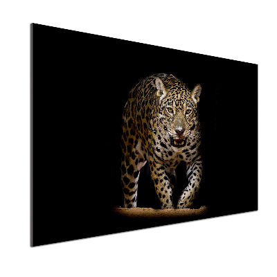 Glazen achterwand keuken Jaguar