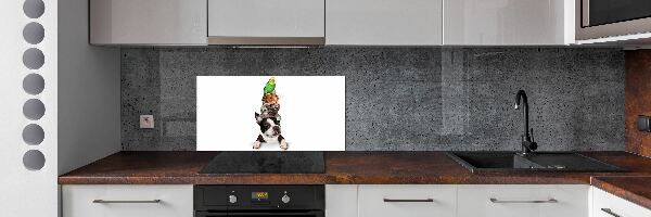 Achterwand keuken Een groep dieren