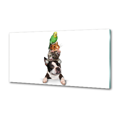 Achterwand keuken Een groep dieren