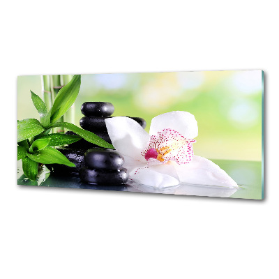 Glazen achterwand keuken Orchidee