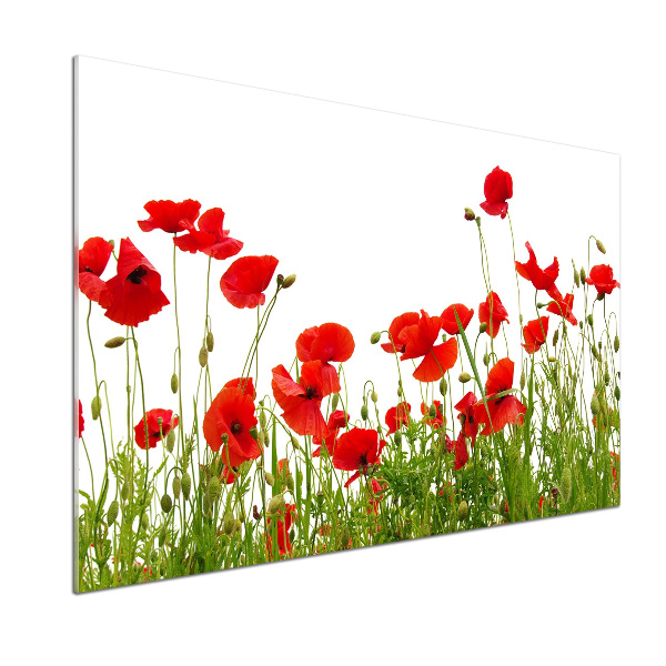 Achterwand keuken Klaprozen