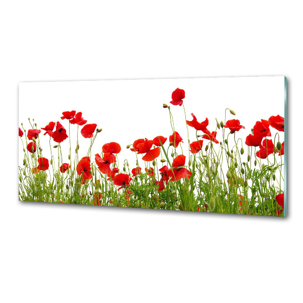 Achterwand keuken Klaprozen