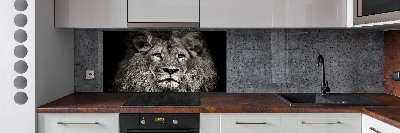 Spatscherm keuken Leeuw