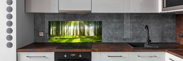 Spatplaat keuken Bos in de zon