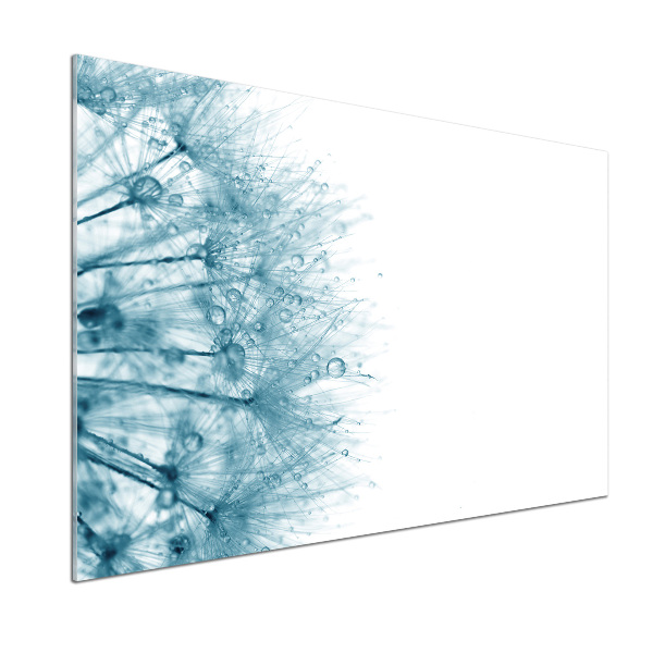 Spatplaat keuken Paardebloem