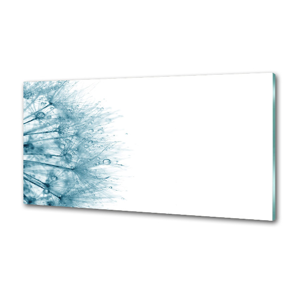 Spatplaat keuken Paardebloem