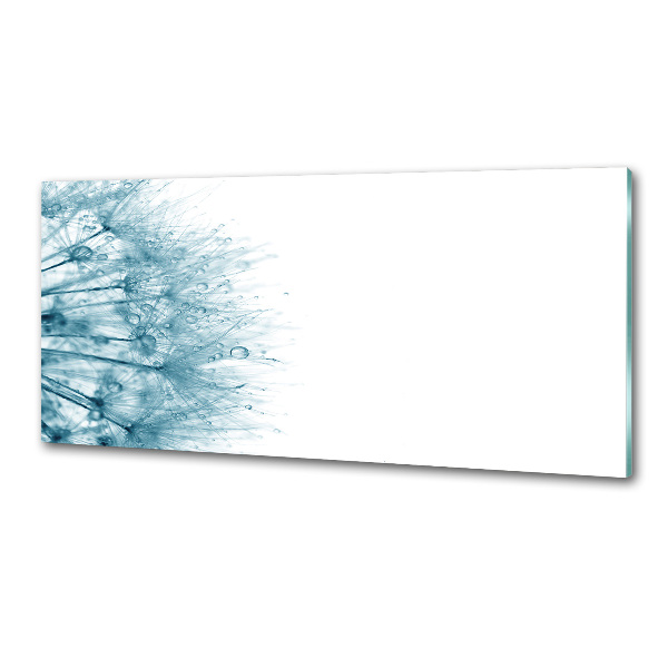 Spatplaat keuken Paardebloem