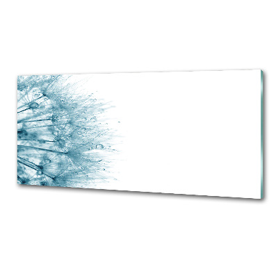 Spatplaat keuken Paardebloem