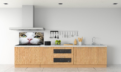 Keuken achterwand Groene kattenogen