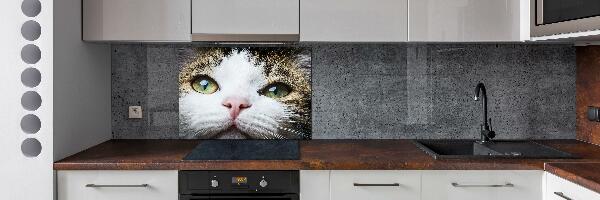 Keuken achterwand Groene kattenogen