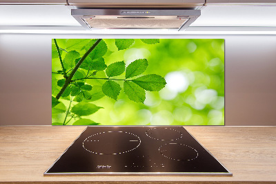 Glazen achterwand keuken Groene bladeren