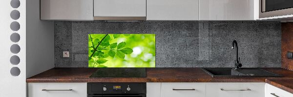Glazen achterwand keuken Groene bladeren