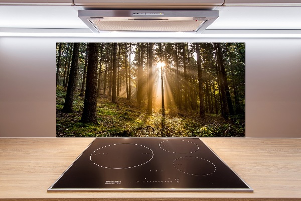 Achterwand keuken Zonlicht