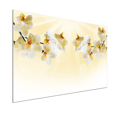 Spatscherm keuken Orchidee