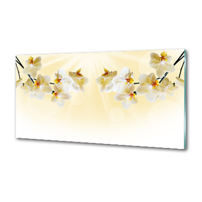 Spatscherm keuken Orchidee