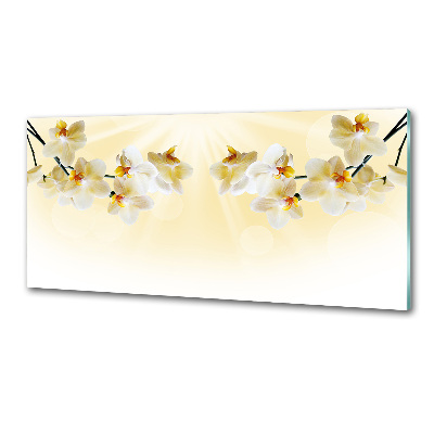 Spatscherm keuken Orchidee