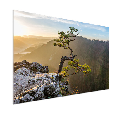 Spatscherm keuken Sokolica Pieniny