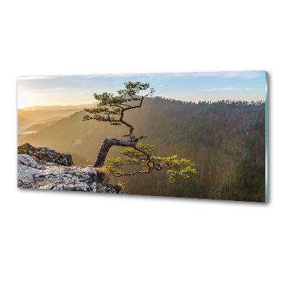 Spatscherm keuken Sokolica Pieniny