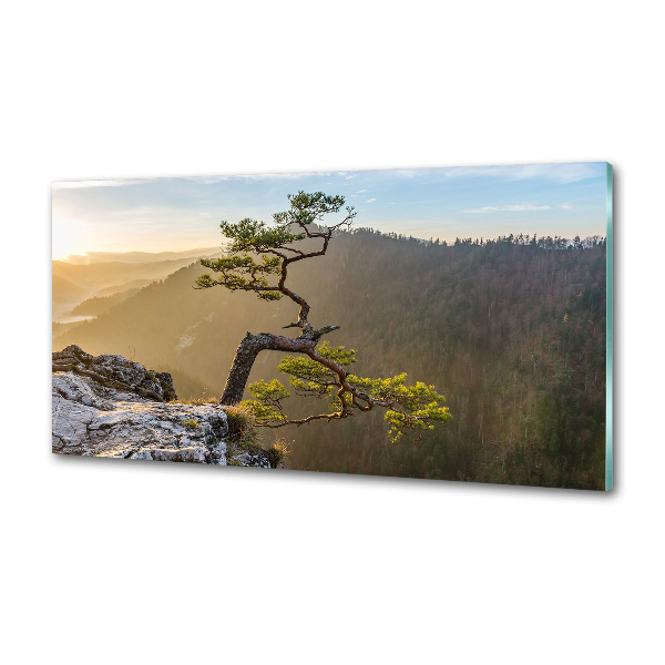 Spatscherm keuken Sokolica Pieniny