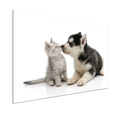 Glazen achterwand keuken Hond en kat