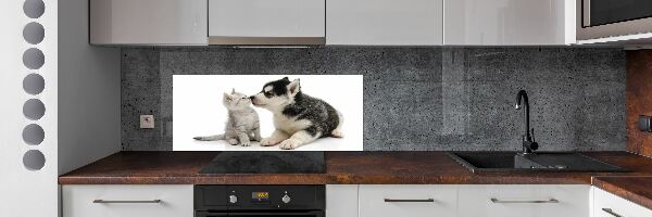 Glazen achterwand keuken Hond en kat