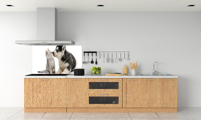 Glazen achterwand keuken Hond en kat