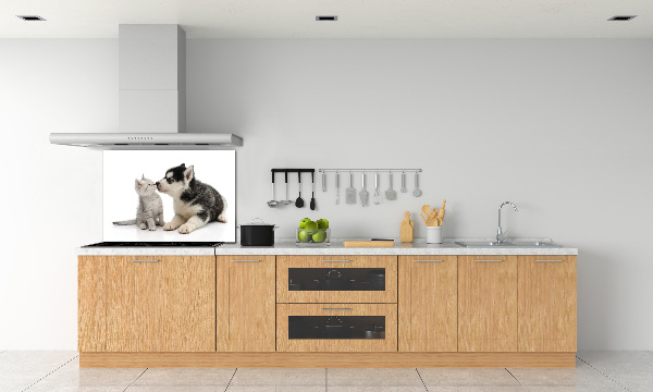 Glazen achterwand keuken Hond en kat