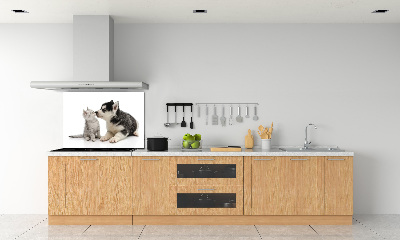 Glazen achterwand keuken Hond en kat