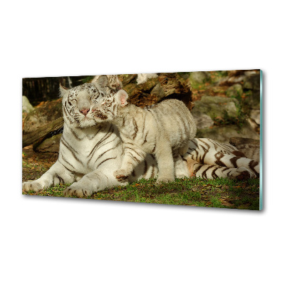 Achterwand keuken Tijgers