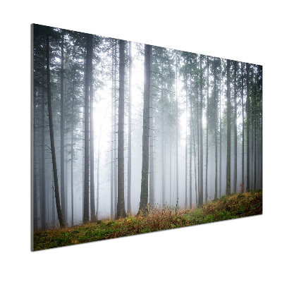 Keuken achterwand Mist in het bos