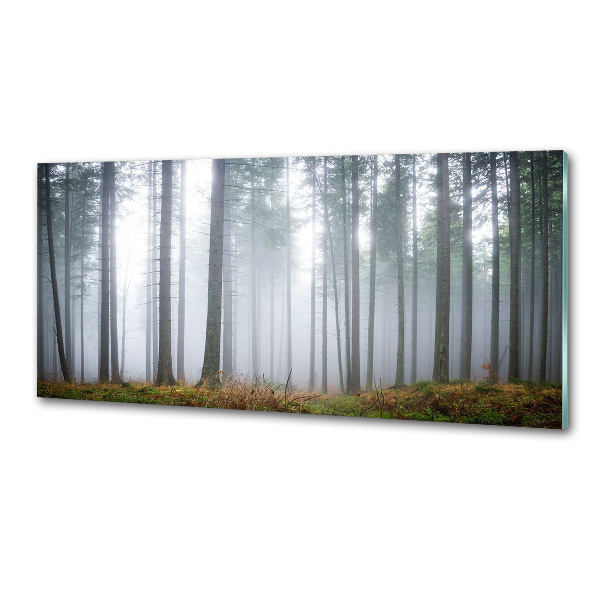 Keuken achterwand Mist in het bos
