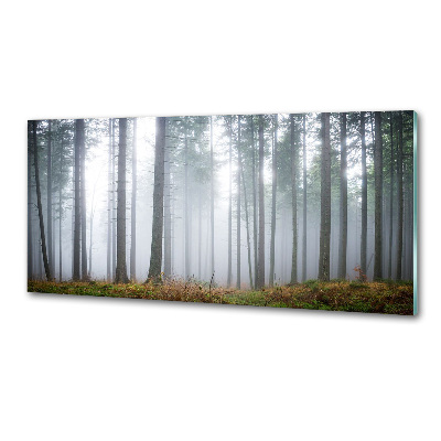 Keuken achterwand Mist in het bos