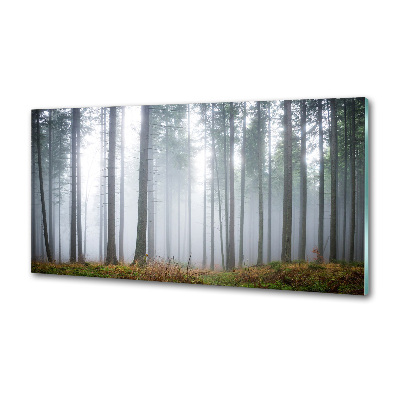 Keuken achterwand Mist in het bos