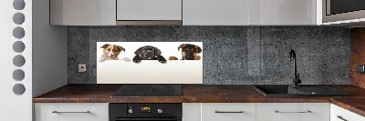 Keuken achterwand Drie puppy's