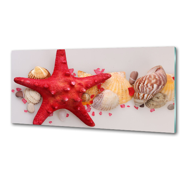 Glazen achterwand keuken Zeesterren en schelpen