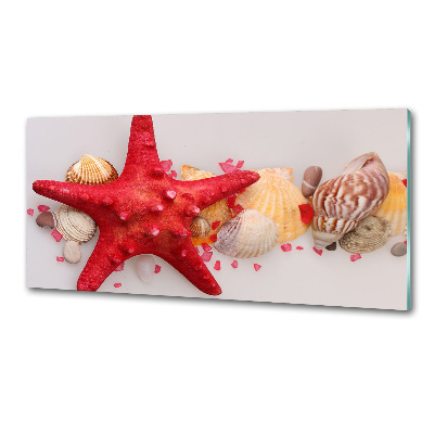 Glazen achterwand keuken Zeesterren en schelpen