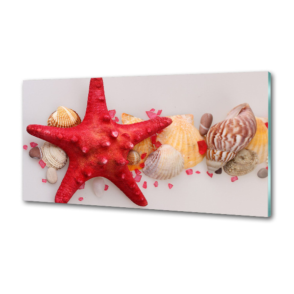 Glazen achterwand keuken Zeesterren en schelpen