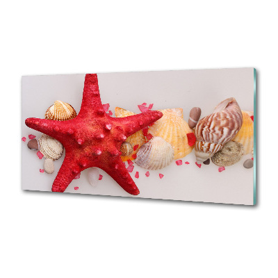 Glazen achterwand keuken Zeesterren en schelpen