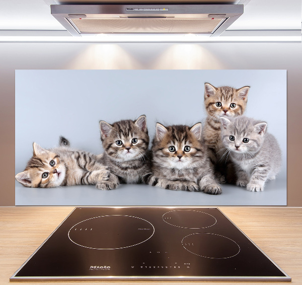Achterwand keuken Vijf katten