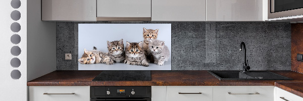 Achterwand keuken Vijf katten