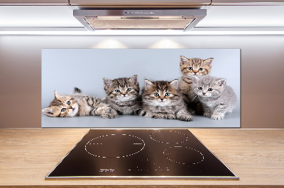Achterwand keuken Vijf katten