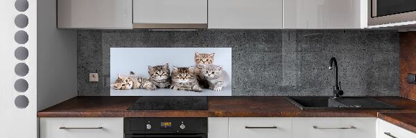 Achterwand keuken Vijf katten