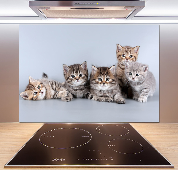 Achterwand keuken Vijf katten