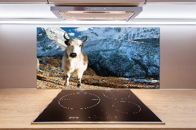 Spatscherm keuken Zoals bergen