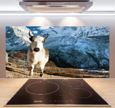 Spatscherm keuken Zoals bergen