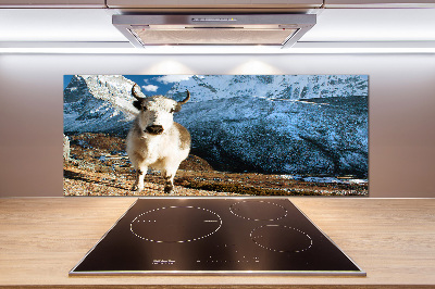 Spatscherm keuken Zoals bergen