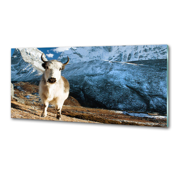 Spatscherm keuken Zoals bergen