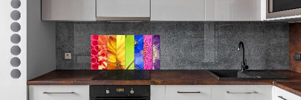 Spatplaat keuken Kleurrijke bloemen