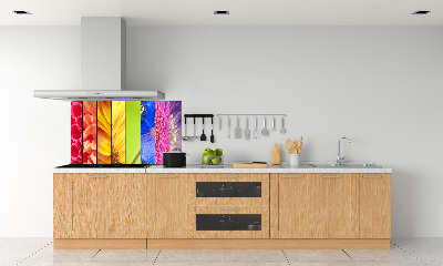 Spatplaat keuken Kleurrijke bloemen