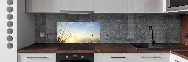 Glazen achterwand keuken Paardenbloemzaden